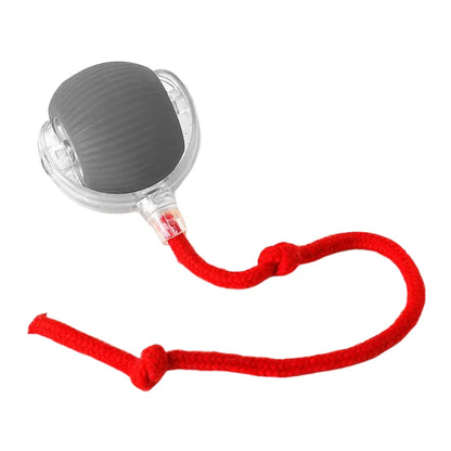 2PC/1PC Cat Interactive Ball Toys Automatic Rolling Ball Rechargeable Self Rotating Ball Fast Rolling Ball for Indoor Cat Kitten
